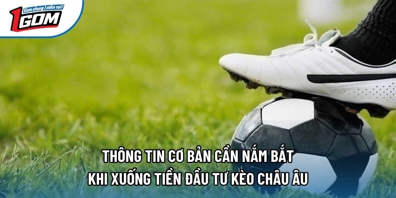 Thông tin cơ bản cần nắm bắt khi xuống tiền đầu tư kèo châu Âu Thông tin cơ bản cần nắm bắt khi xuống tiền đầu tư kèo châu Âu